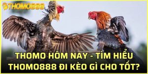 Thomo hôm nay