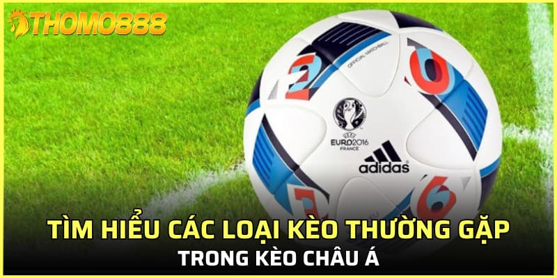 Tìm hiểu các loại kèo thường gặp trong kèo châu Á