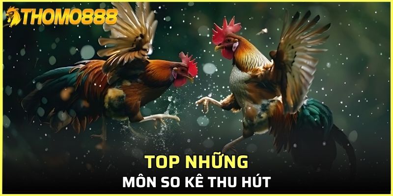 Top những môn so kê thu hút